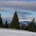 Schneeschuhwandern (20090104 0022)